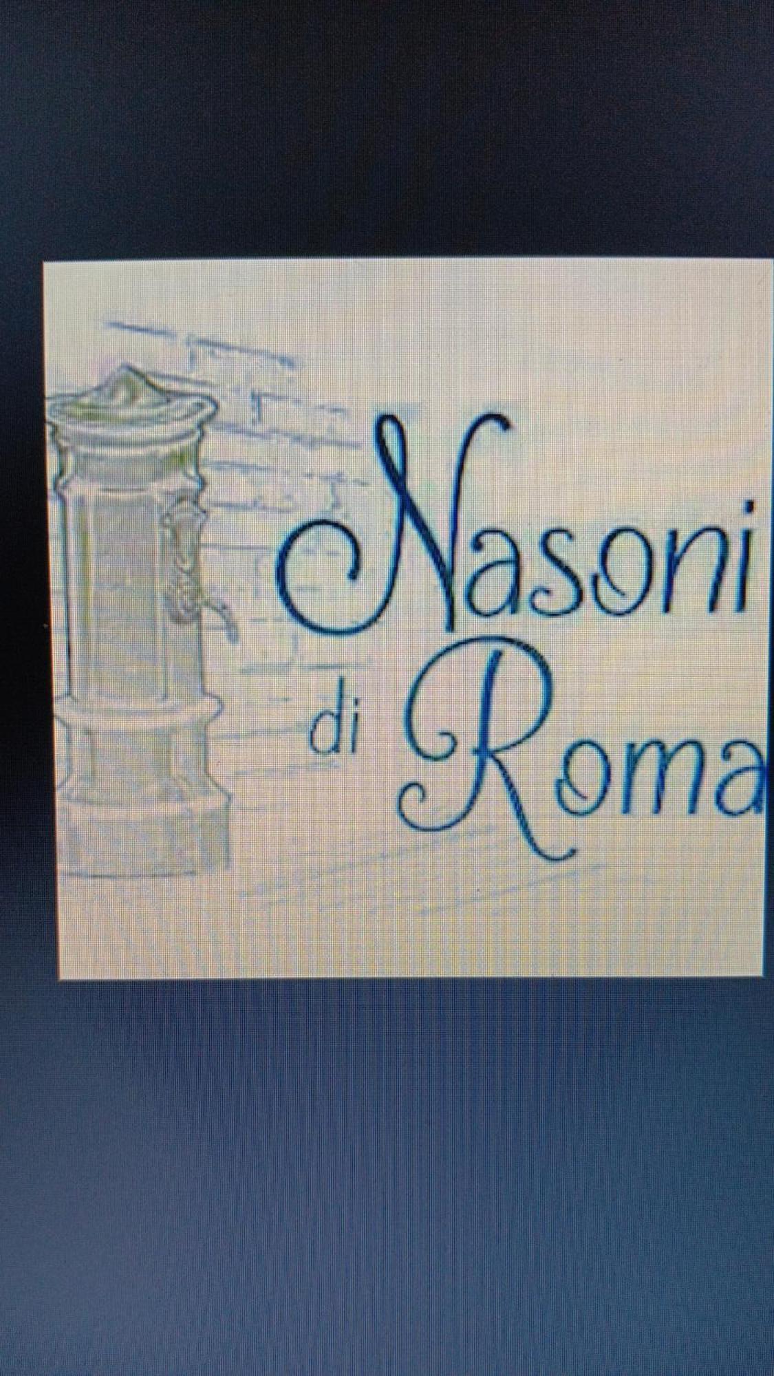Nasoni Di Roma Aparthotel Buitenkant foto