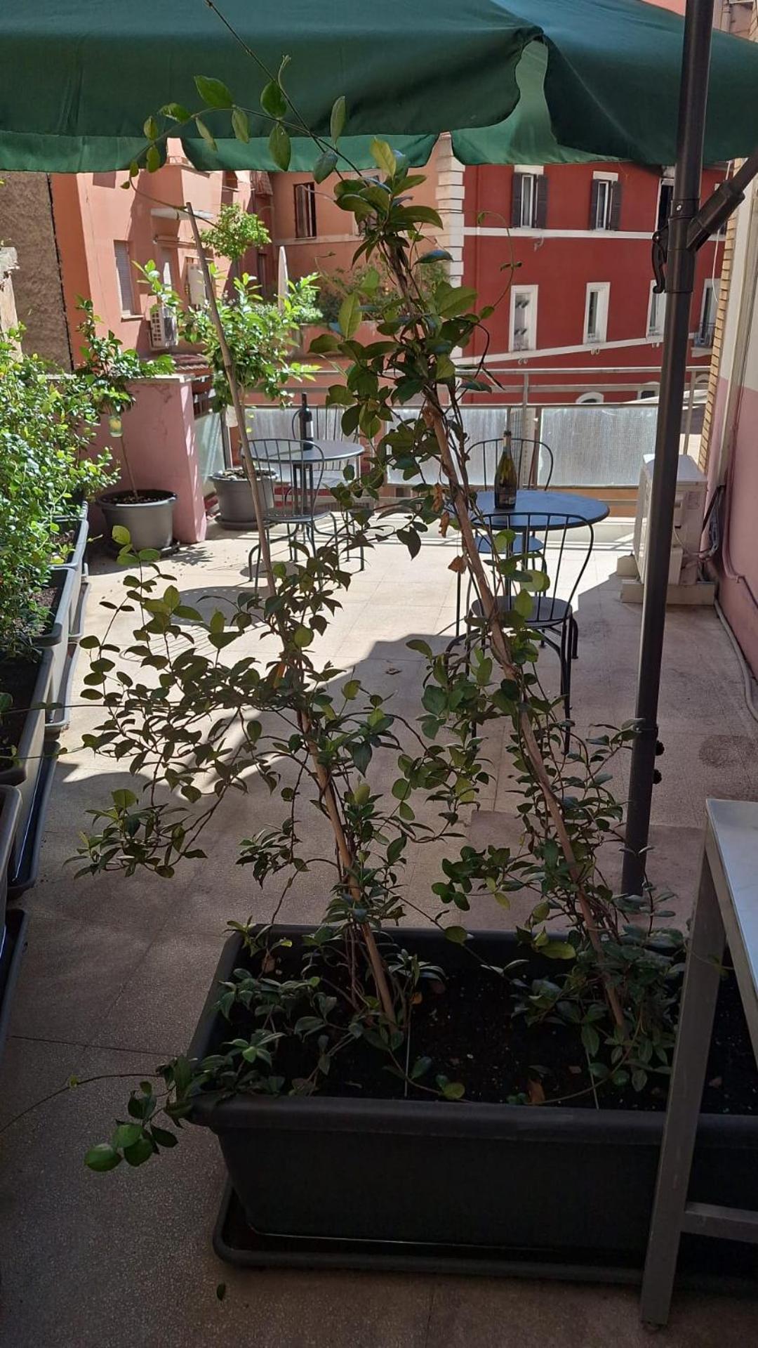Nasoni Di Roma Aparthotel Buitenkant foto